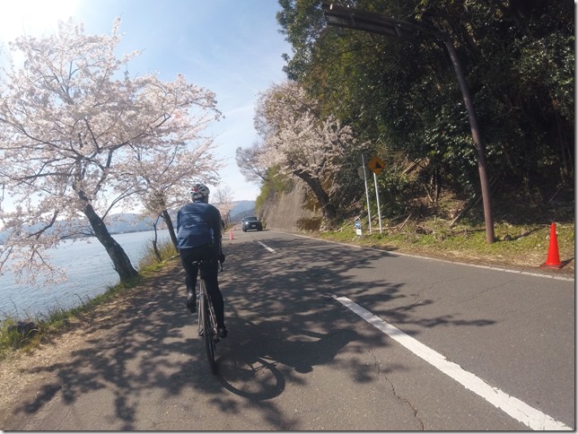 琵琶湖 自転車 レンタル