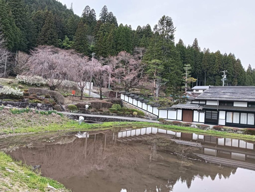 飛騨はぎわら桜めぐり「宮谷の桜」